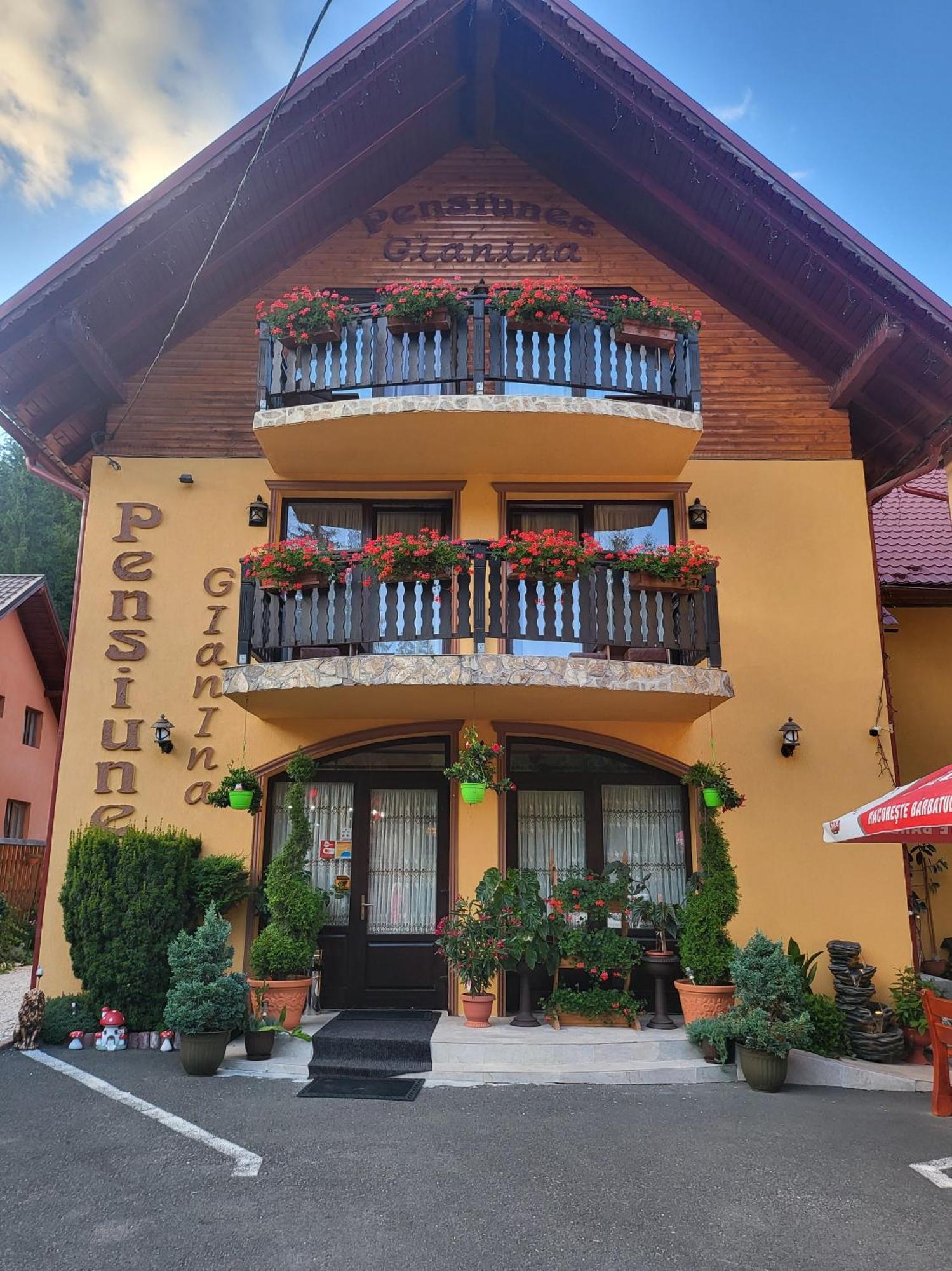 Pensiunea Gianina Arieseni Exterior photo
