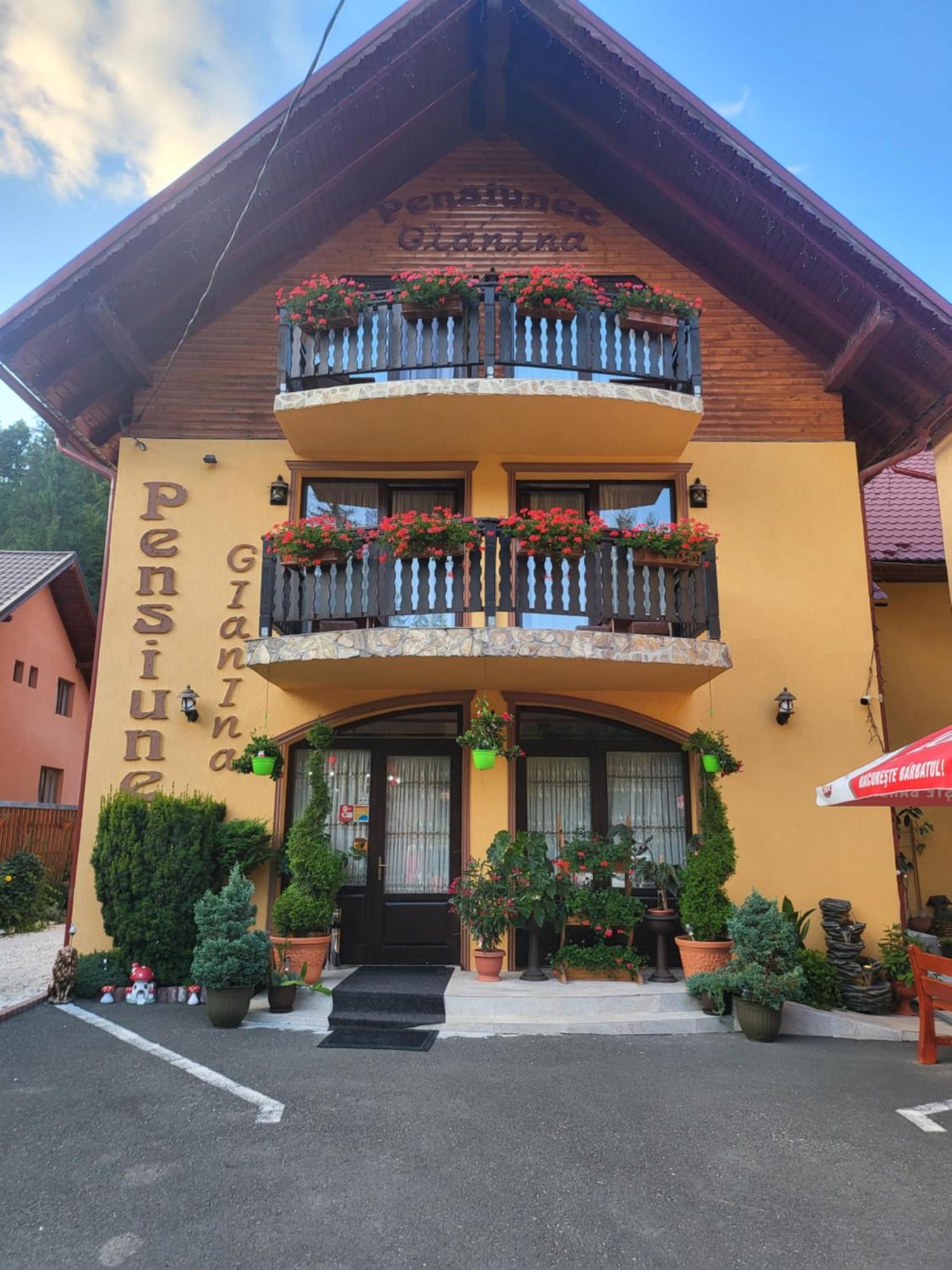 Pensiunea Gianina Arieseni Exterior photo